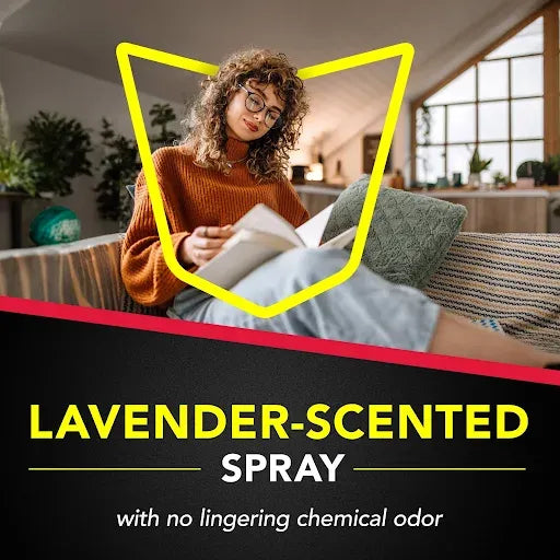 Raid Ant & Roach Killer 26