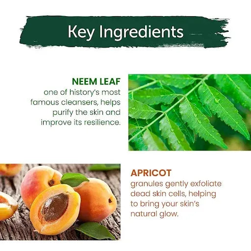 Himalaya Purifying Neem Scrub