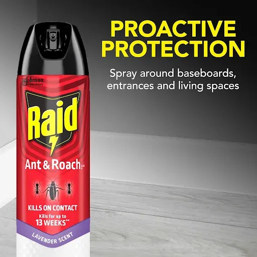 Raid Ant & Roach Killer 26