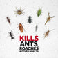Raid Ant & Roach Killer 26