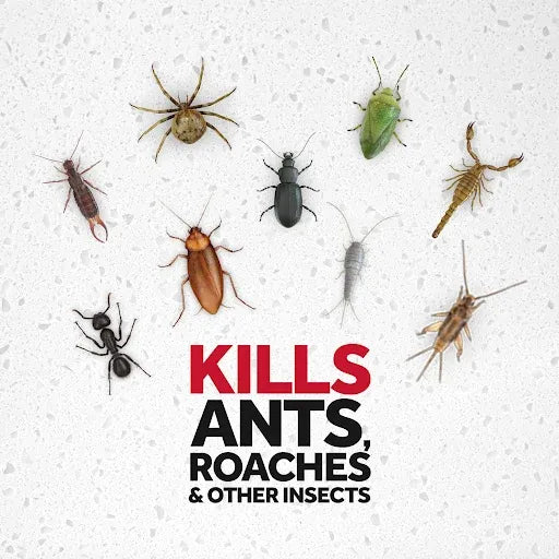 Raid Ant & Roach Killer 26